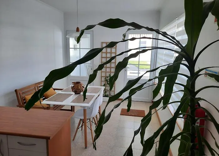 Boa Nova House 펜션 *